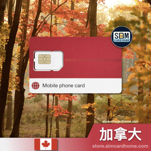 加拿大｜虚拟｜网络注册卡